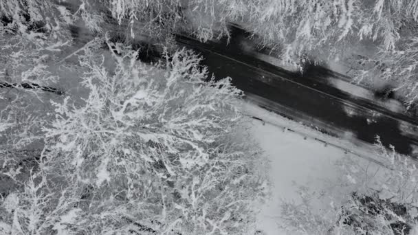 Vista aerea strada innevata nella foresta invernale. Vista invernale di una strada in mezzo alla foresta ricoperta di neve. — Video Stock