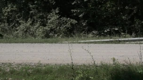 Sochi, Rússia - 18 de julho de 2020: Carro de corrida passando em câmera lenta, levantando poeira, Rally Race. Condução em poeira, areia, estrada de terra. — Vídeo de Stock