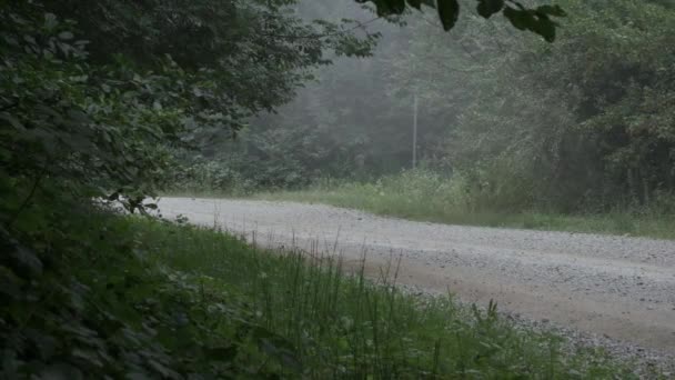 Sotchi, Russie - 18 JUILLET 2020 : Voiture de course au ralenti, soulevant la poussière, course de rallye. Conduite sur poussiéreux, sablonneux, chemin de terre. — Video