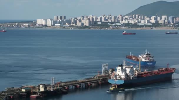 Novorossiysk, Ryssland - 01 AUG 2020: Time lapse videos. Lastfartyg vid hamnen. Novorossijsk. Leverans av frakt. — Stockvideo