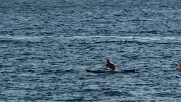 Deux personnes sur Paddle Board dans la mer pendant l'été. Homme et femme sur des planches à pagaie sup. — Video