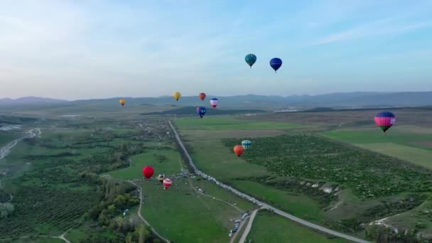 Dużo balonów na ogrzane powietrze o świcie. Lot balonem na ogrzane powietrze. Wschód słońca. Festiwal balonów lotniczych. — Wideo stockowe