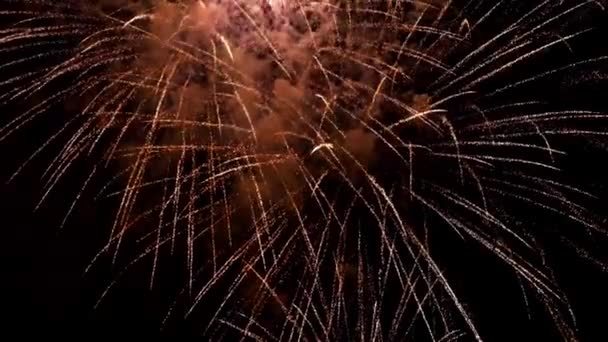Leuchtendes Feuerwerk mit Bokeh-Lichtern am Nachthimmel. Glühendes Feuerwerk. Silvesterfeuerwerk. Buntes Feuerwerk am Nachthimmel. schöne farbige nächtliche Explosionen am schwarzen Himmel. — Stockvideo