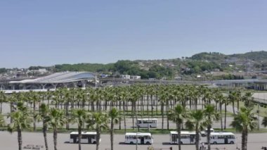 İHA ikonik palmiye ağaçlarının üzerinde uçuyor. Arka planda şehrin silüeti var. AERİAL. Tipik olarak Soçi 'deki PALM Trees Caddesi. Seyahat, yaz, tatil ve tropik plaj konsepti.