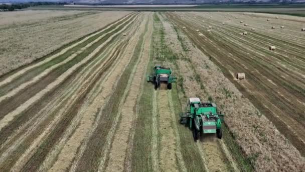 Combines in the field. Aerial view of harvesters. Season of gathering crops. Rye and barley. Autonomous transportation in agriculture. Top down view of Harvester machines working in wheat field. — Stock Video