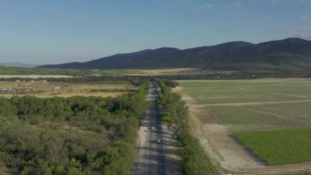 Los camiones conducen por la carretera. entrega de carga y muchos coches. Vuelo aéreo sobre autopista interurbana asfaltada pasando por verdes campos rurales y bosques fondo una puesta de sol en la noche de verano. — Vídeo de stock