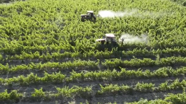 Wijngaard Spuiten Tractor met insecticide - luchtfoto 's. rijen druiven in een wijngaard. Vroege ochtend. — Stockvideo