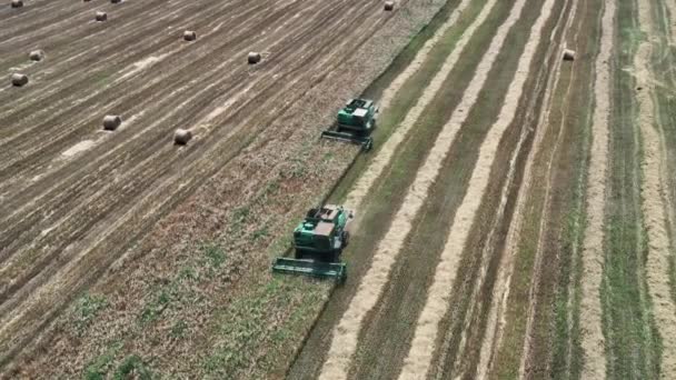 Зелений комбайн працює в полі. Збір врожаю. Насіння. Аграрна промисловість. Повітряна відеозйомка. Ясний, сонячний день. Вид зверху вниз. Прямі ряди сіна . — стокове відео