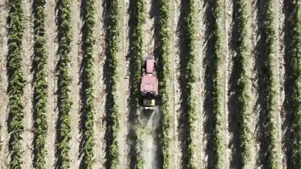 Üzüm Bağlarında Çalışan Çiftçi Yukarıdan Takip Eden Hava Görüntüsü Traktör — Stok video