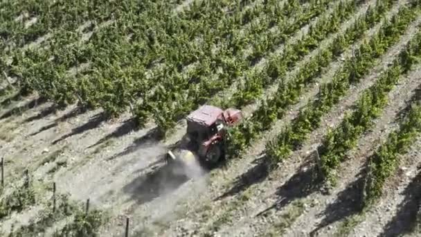 Agricultor Trabalhar Vinhas Vista Aérea Seguinte Acima Vinhedo Spray Trator — Vídeo de Stock
