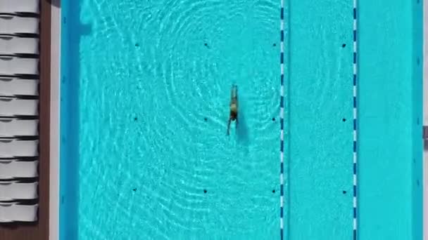 Young Woman Enjoys Cool Water Pool Summertime Aerial View Swimming — Stock Video