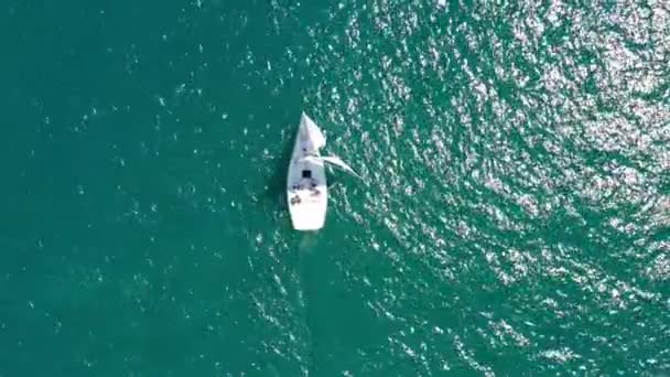 Yachtseiling på åpent hav. Seilbåt. Yacht fra drone. Luftvideo. Seilbåt fra drone. Yachting på vindfulle dager. Åpen sjø. små seilbåter under konkurranse på blå skyet bakgrunn. – stockvideo