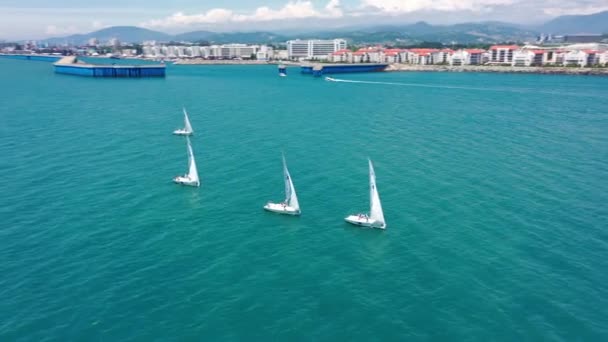 Flygfoto av segelbåtar vid loppet-regattan på havet, stadsbild på bakgrunden. Rankningar från båtar av deltagare i en regatta går på en utgångspunkt, är en segling race på Sochi. — Stockvideo
