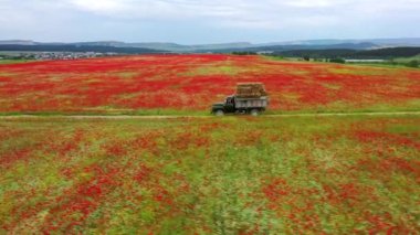 AERİAL VİEW. Kırsal yolda hızla giden yeşil kamyon. Drone ülkeyi boydan boya geçen bir arabayı takip ediyor. Bir kamyonun arkasında saman küplerinin taşınması. Çiftçiler sarı kuru otları toplarlar.. 