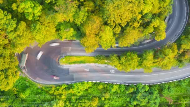 Luchthyperlapse opname van een drukke multilevel kruising weg. snelweg vanuit het vogelperspectief. Auto sporen. Groene bomen. kronkelweg — Stockvideo