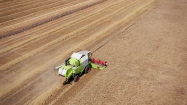 Hava görüntüsü buğday tarlasını hasat eden bir hasat makinesi. Buğday tarlasını hasat eden ekin biçme makinesini birleştirin. Hasattan sonra bir tarla. 