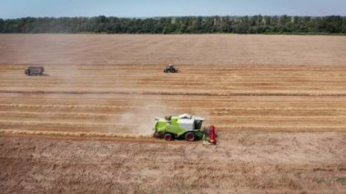 Hava görüntüsü buğday tarlasını hasat eden bir hasat makinesi. Buğday tarlasını hasat eden ekin biçme makinesini birleştirin. Hasattan sonra bir tarla. 