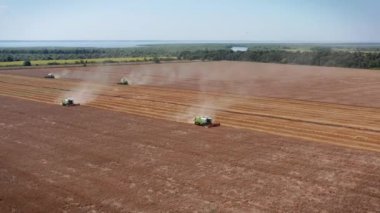 Hava görüntüsü buğday tarlasını hasat eden bir hasat makinesi. Buğday tarlasını hasat eden ekin biçme makinesini birleştirin. Hasattan sonra bir tarla. 