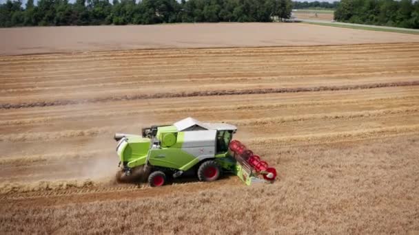 Αεροφωτογραφία μια μηχανή Harvester για τη συγκομιδή τομέα του σιταριού εργασίας. Συνδυάστε συγκομιδή γεωργικών μηχανή συγκομιδή χρυσή ώριμο πεδίο σιταριού. Ένα χωράφι μετά τη συγκομιδή. — Αρχείο Βίντεο