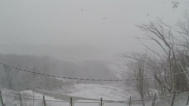 Sneeuw — Stockvideo