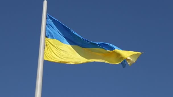 Flagga Ukraina framkallar i vinden — Stockvideo