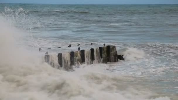 Хвилі Чорного моря під час бурі порушення безпеки на пристані на пляжі в Сочі — стокове відео