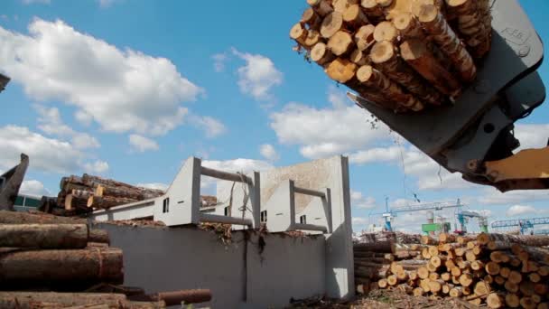 Zware apparatuur Truck Picker hout fabriek — Stockvideo