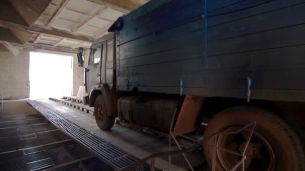 Descarga do reboque do camião após a colheita — Vídeo de Stock