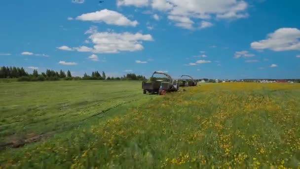 Vue aérienne des pêcheurs sur le terrain. Russie — Video