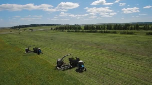 Vue aérienne des pêcheurs sur le terrain — Video