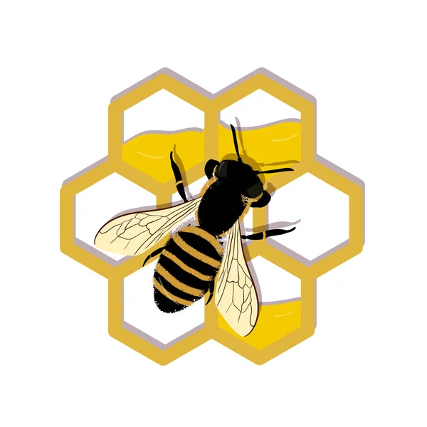 Trabajo de abejas en panales. Ilustración vectorial. Icono, aislado en el fondo blanco, logotipo. EPS 10 — Archivo Imágenes Vectoriales