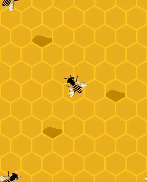 Padrão sem costura de cor honeycomb ornamento witn abelhas —  Vetores de Stock