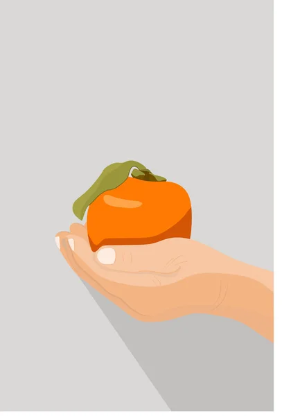 Mano sosteniendo fruta caqui aislada en el fondo claro. Ilustración vectorial — Archivo Imágenes Vectoriales