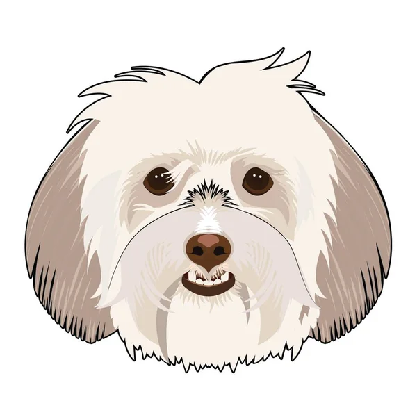 犬の頭は白い背景に隔離され、右対称ベクトル図を見ている。ベクトルアイコン — ストックベクタ