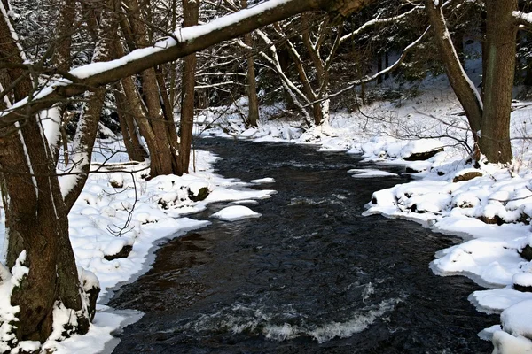 Χειμώνα Creek Χιόνι Και Πάγο — Φωτογραφία Αρχείου