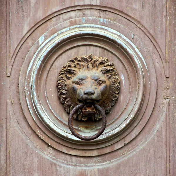 Old knocker - a lion\'s head with an iron ring in his mouth