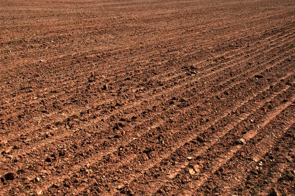 犁过的土壤的农业领域 — 图库照片