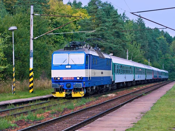 Ormanın içinden tren yolculuğu