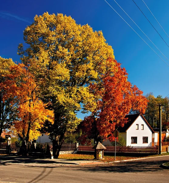 Autumn village — Stock Photo, Image