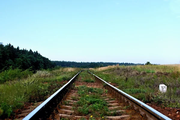 Le chemin de fer en perspective Image En Vente