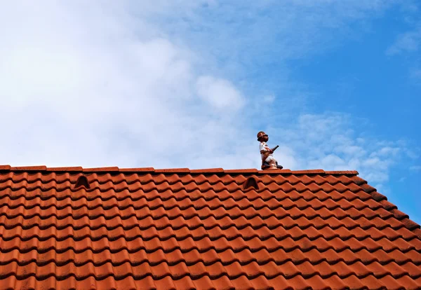 İtfaiyeci çatı üzerinde — Stok fotoğraf