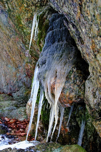 renkli sonbahar park