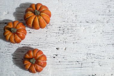 Cadılar Bayramı 'nda Cadılar Bayramı' nda korkunç komik hayalet. Oyuncak dekor dekorasyonu ve sonbahar festivali ve balkabağı konseptiyle kutlama partisini kutluyor.