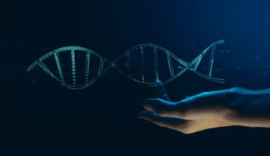 3D insan eli hafif kan DNA hücresi çift sarmal yapı, sağlık hizmetleri ağı