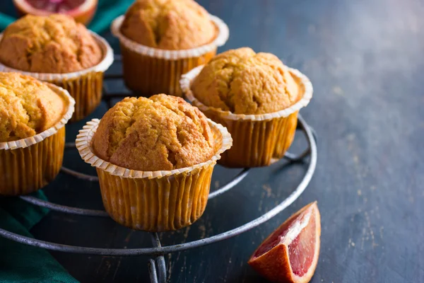 Cenoura e muffins de laranja sangue — Fotografia de Stock