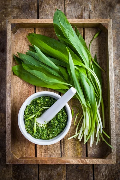 Verse ramson (wilde knoflook) pesto — Stockfoto