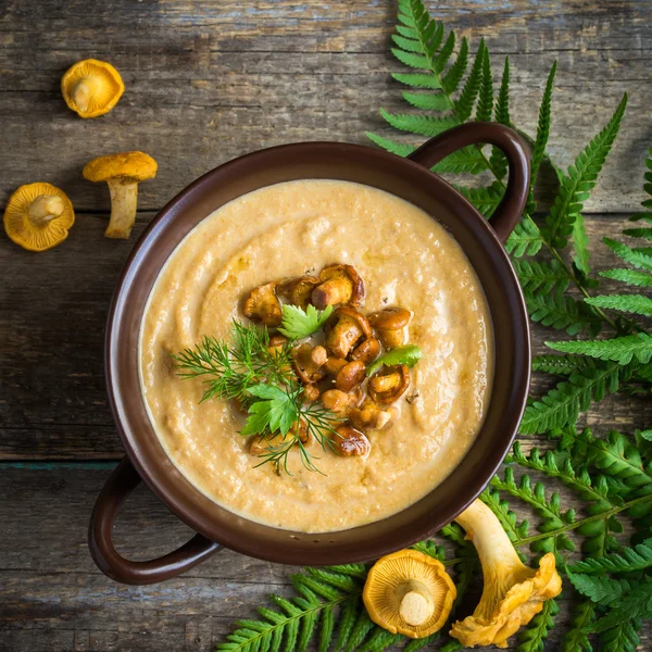 Hanterelle cream soup — Stock Image Hanterelle cream soup Royalty Free Stock Images