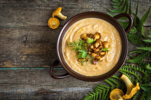 Chanterelle Soupe à la crème — Photo