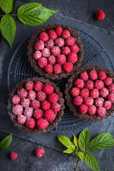 Schokoladentorten mit frischen Himbeeren — Stockfoto