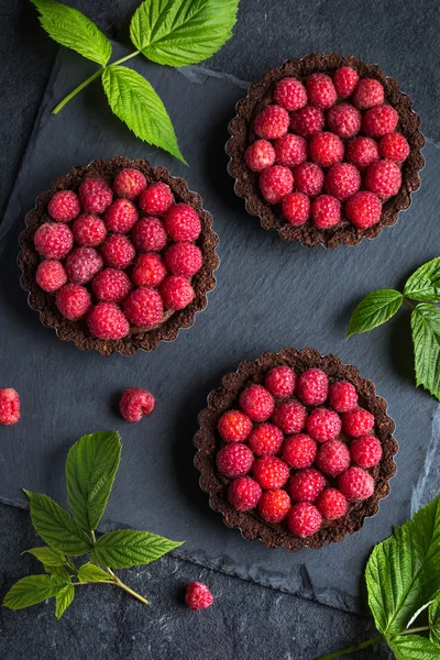 Tortas de chocolate com framboesa fresca — Fotografia de Stock